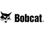 Bobcat